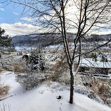 Studiowohnung Schwabenalb Mit Panoramablick Albstadt Eksteriør bilde