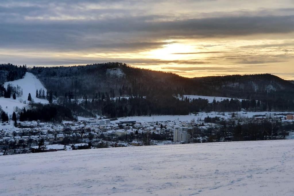 Studiowohnung Schwabenalb Mit Panoramablick Albstadt Eksteriør bilde